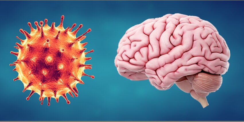 Super Easy Ways To Learn Everything About The Brain And Immune System