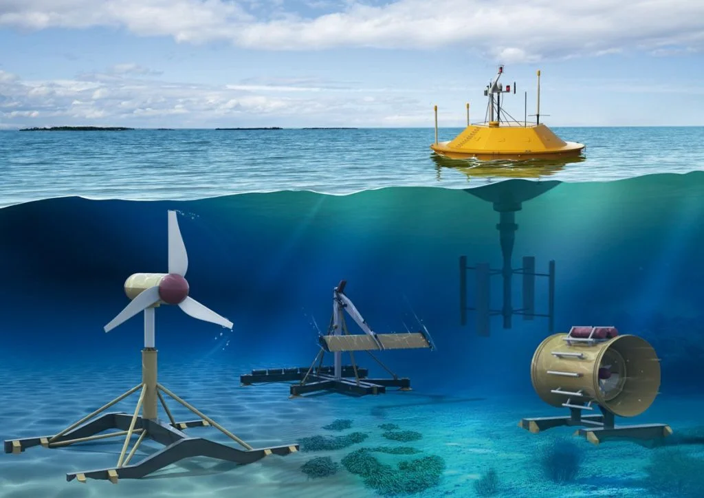 Global Marine Power (Wave and Tidal) Market Growth and Forecast