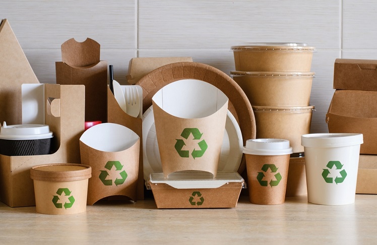 Biodegradable Materials: A Market Research Exploration of Eco-Friendly Trends