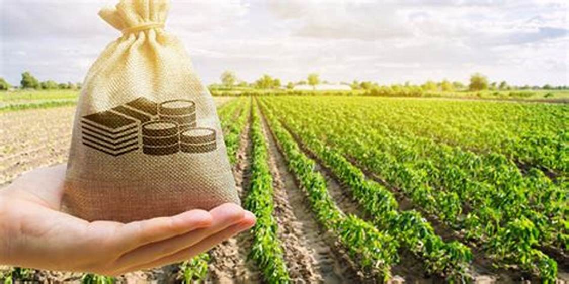 Investing in Agriculture: A Comprehensive Guide to Market Research for Agribusinesses