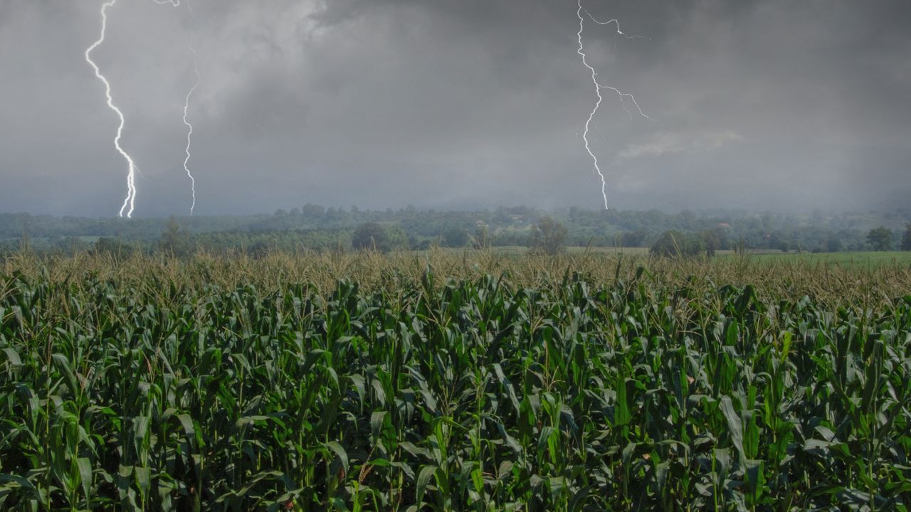 Weathering the Storm: How Agriculture Market Research Prepares for Uncertainties