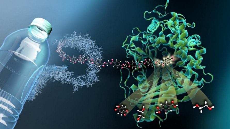 Global Plastic-Eating Bacteria Market: Pioneering the Future of Sustainable Waste Management