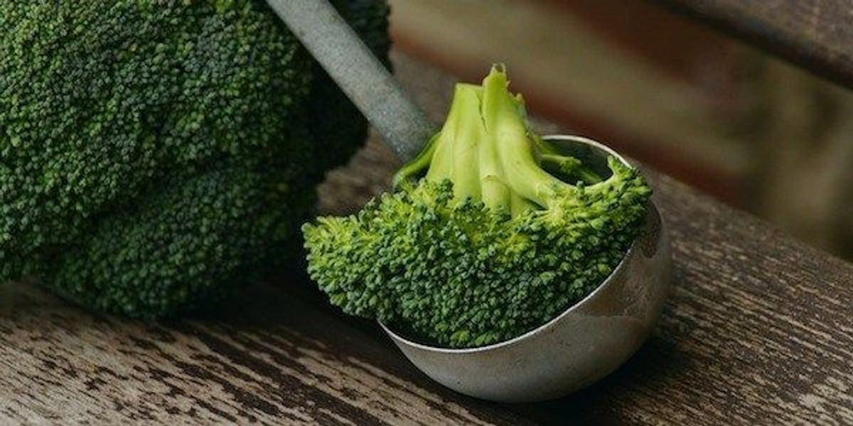 The Global Broccoli Extract Market: Growth, Trends, and Future Prospects