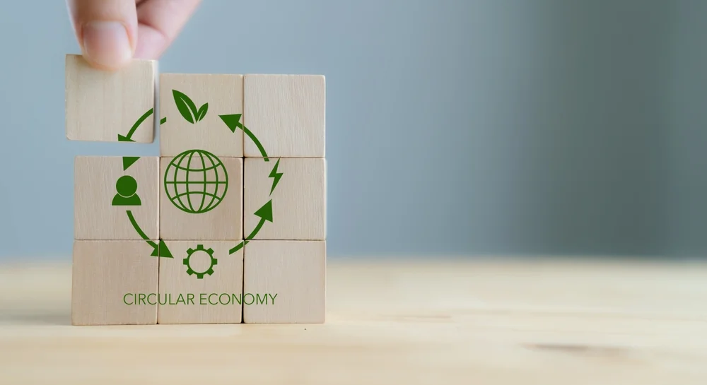 Circular Economy in Packaging: Market Research on Sustainable Practices