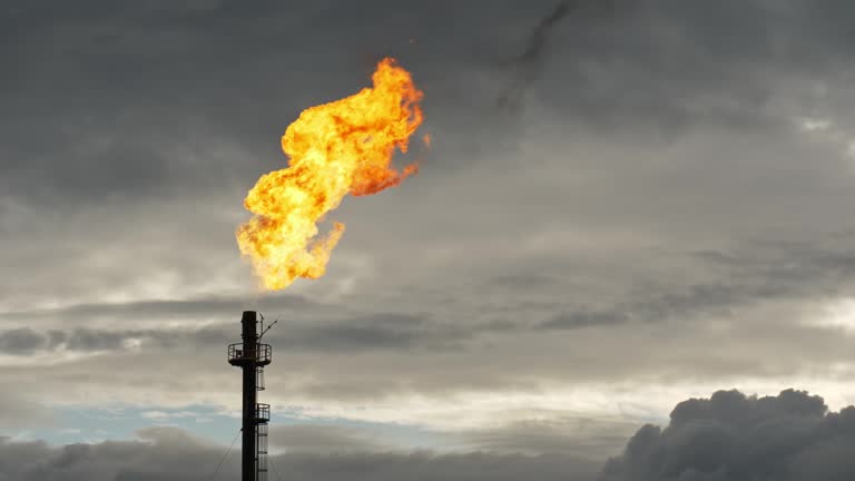 Global Gas Flares Market Growth and Forecast