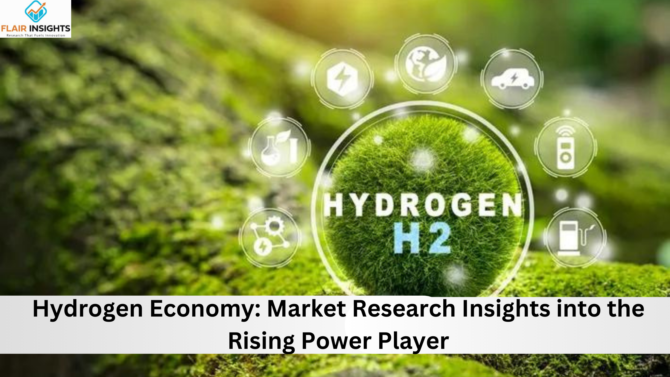 Hydrogen Economy: Market Research Insights into the Rising Power Player