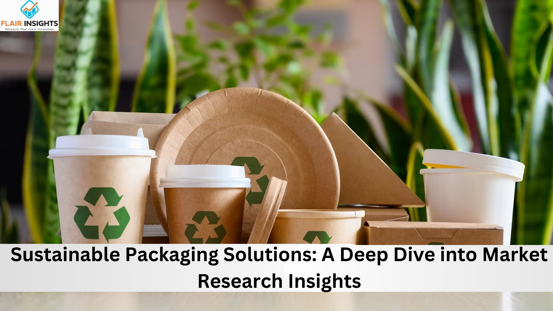 Sustainable Packaging Solutions: A Deep Dive into Market Research Insights