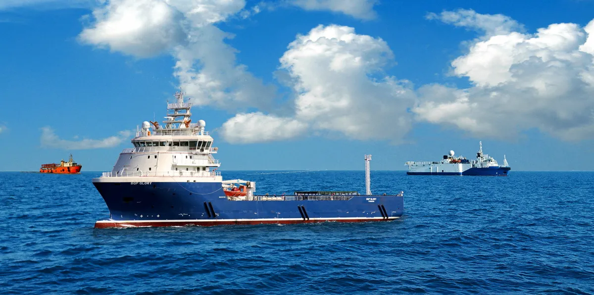 Global Seismic Survey Market: Growth and Forecast