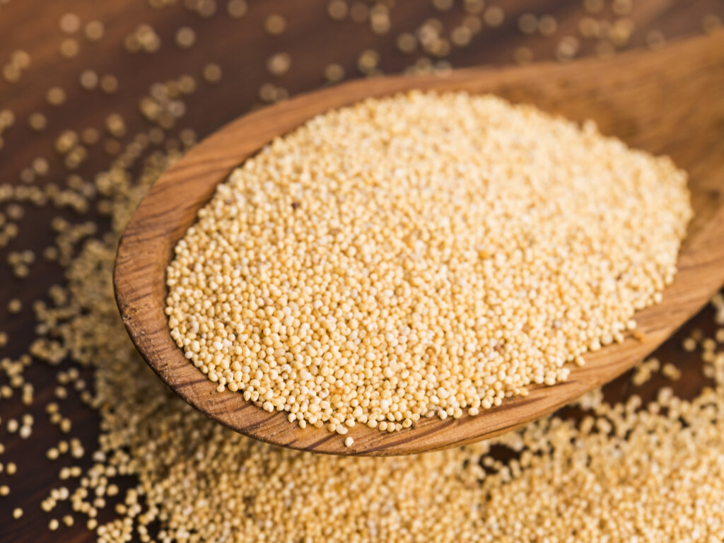 The Global Poppy Seed Market: Growth and Trends