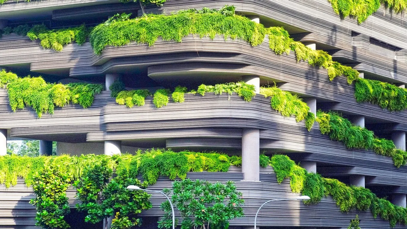 Green Building Materials: Market Research Driving Environmental Sustainability