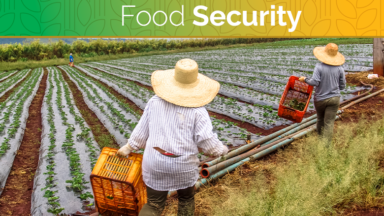 Food Security Insights: The Crucial Role of Agriculture Market Research