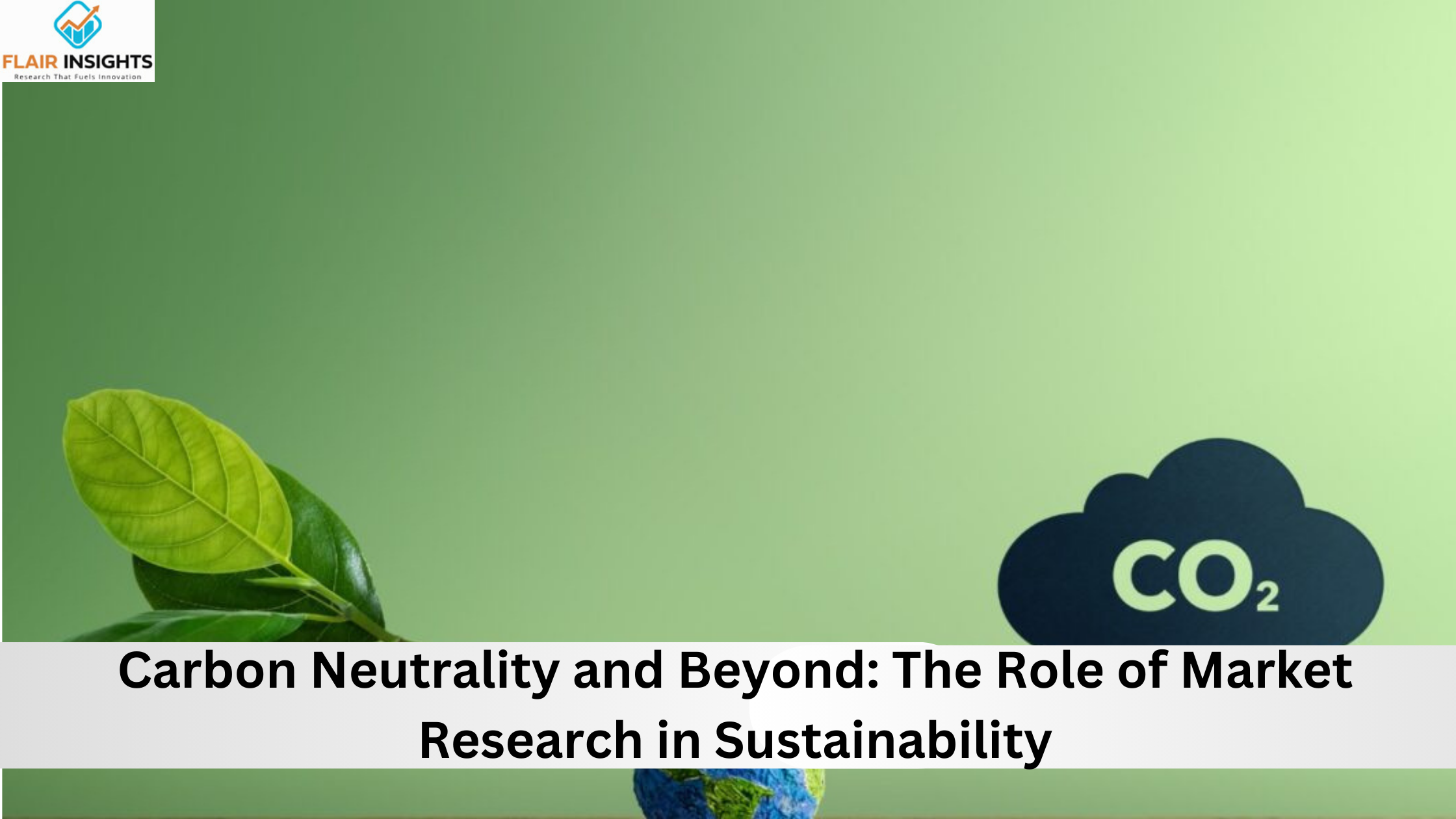 Carbon Neutrality and Beyond: The Role of Market Research in Sustainability