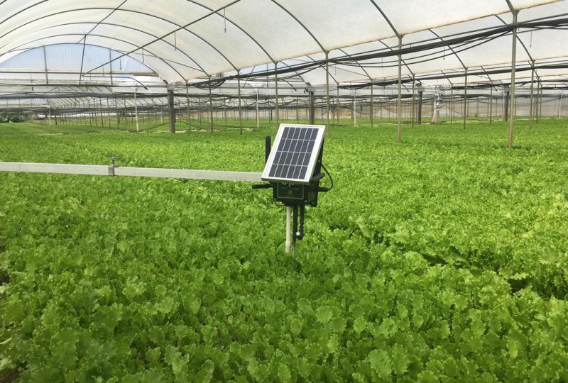 The Growth and Future of Global Smart Greenhouse Irrigation Systems Market